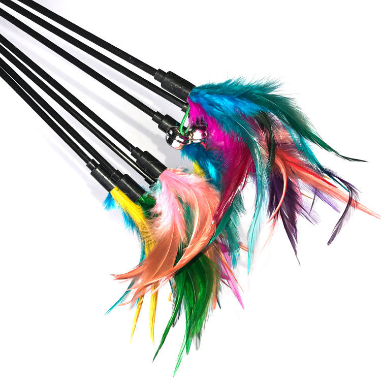 Interactive Cat Feather Wand Toy with Bell for Kitten Teaser Play