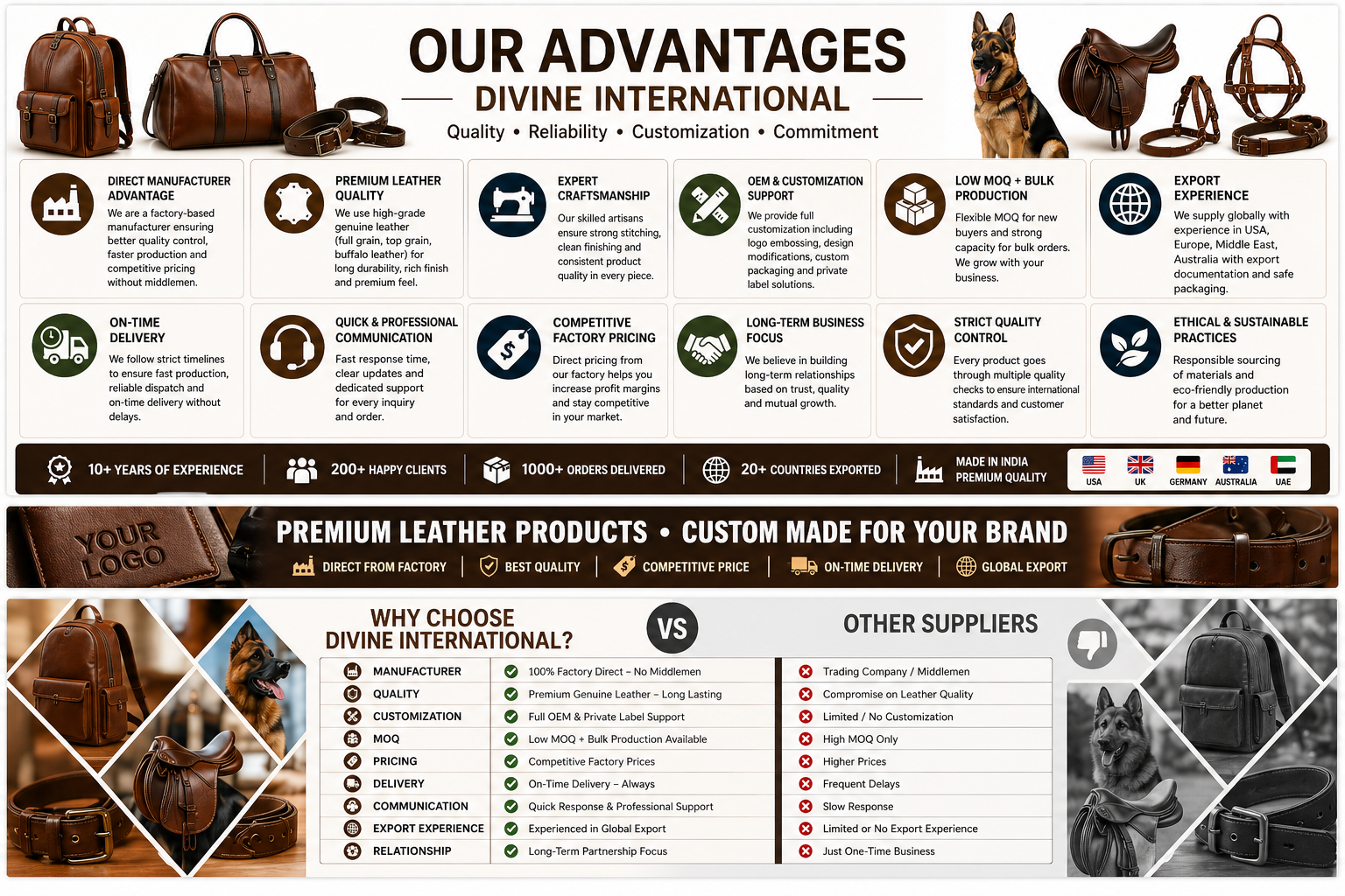 Our Advantages Infographic