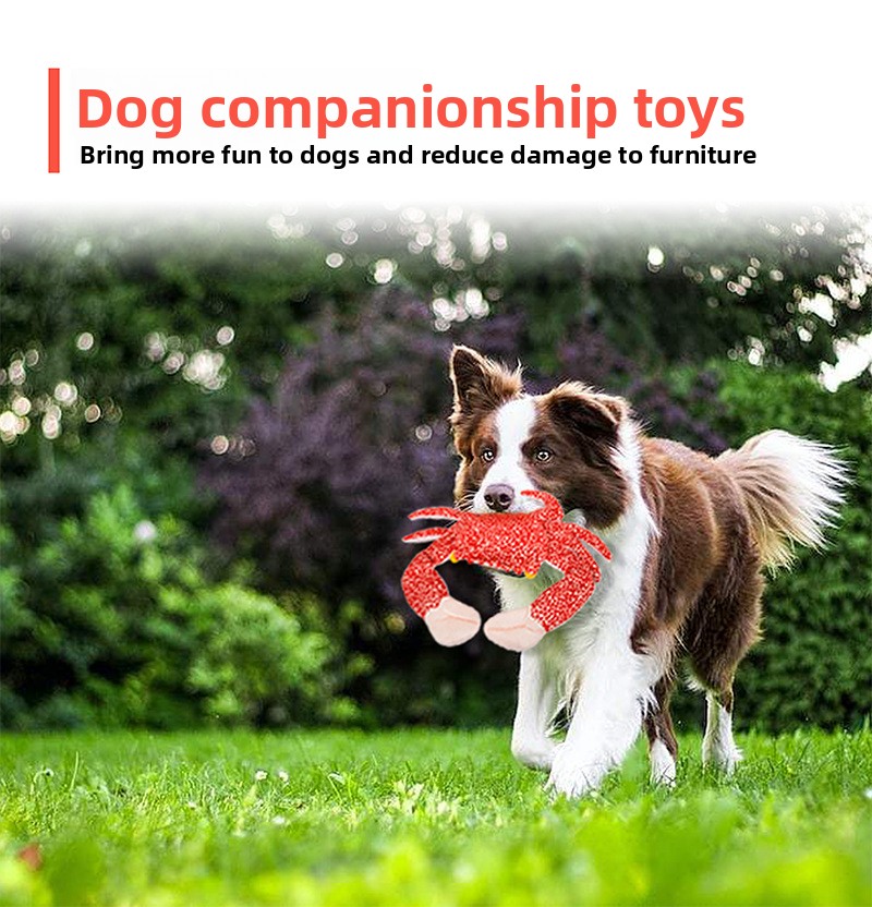 Pet Toy Feature 4