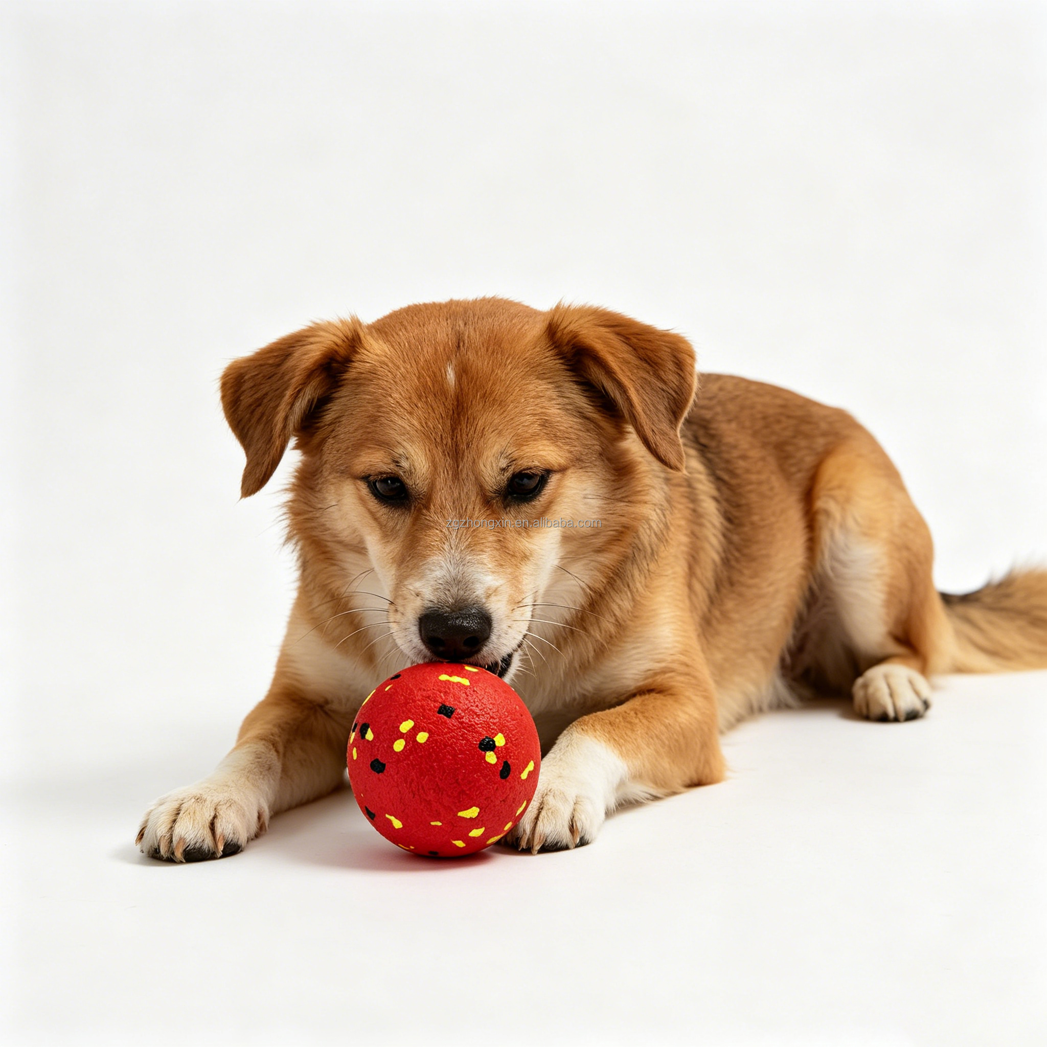 Eco-Friendly Lightweight Geometric Pattern Chewing Toy Modern Style Cat Dental Cleaning Ball Bite-Resistant Easy Clean