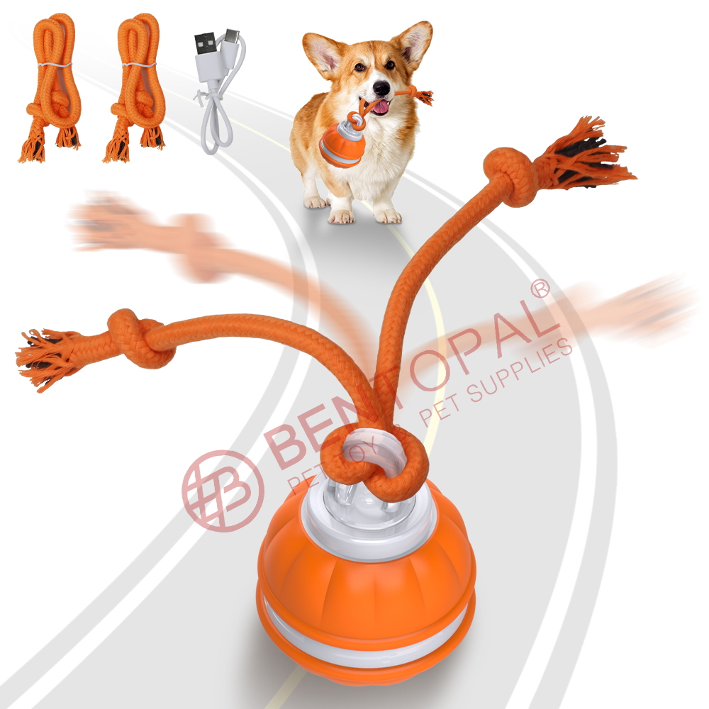 Peppy Pet Ball for Dogs - Interactive Motion Activated Rolling Ball for Puppies/Small Dogs