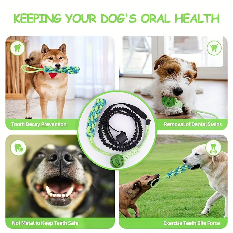 Interactive Dog Tug-of-War Toys Set with Tether Rope and Ball Tree Hanging Bungee Toy Indoor Outdoor Dog Rope Toy
