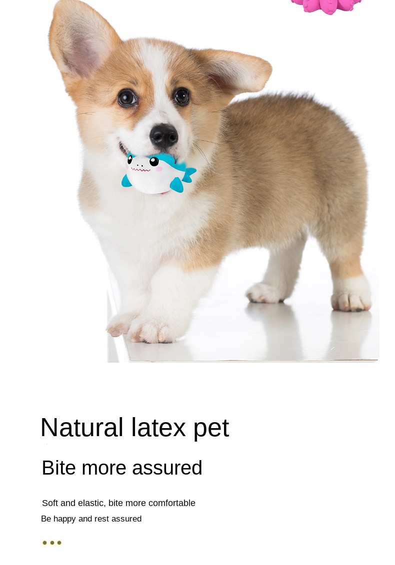 Pet Toy Image 10