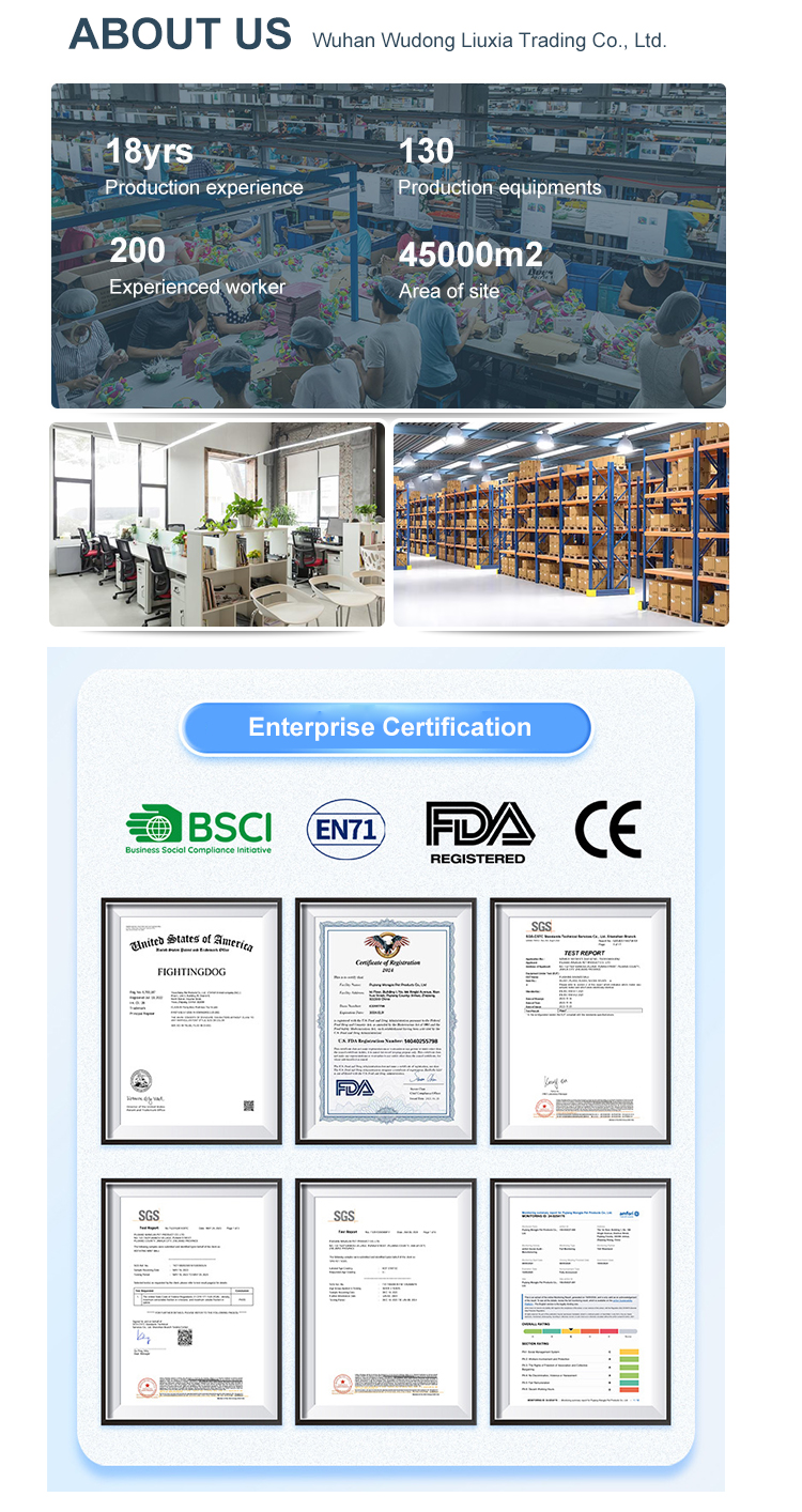 Company Information Visual Presentation