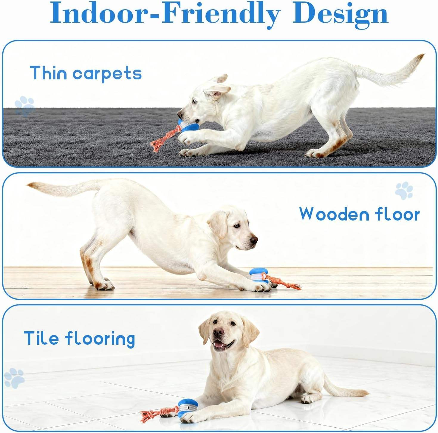Pet Smart Ball Detail 5