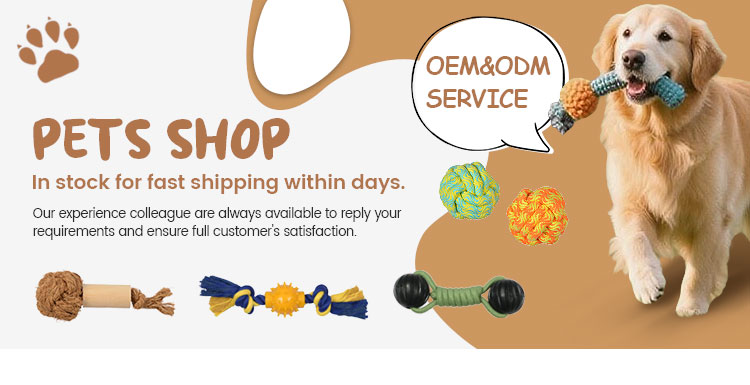 Dog chew toy product feature image