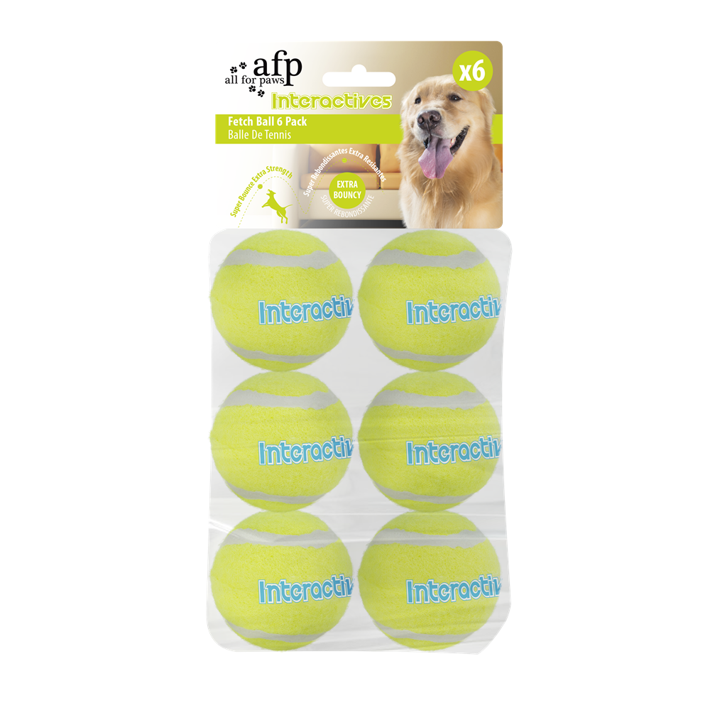 Fetch Balls 6 Pack