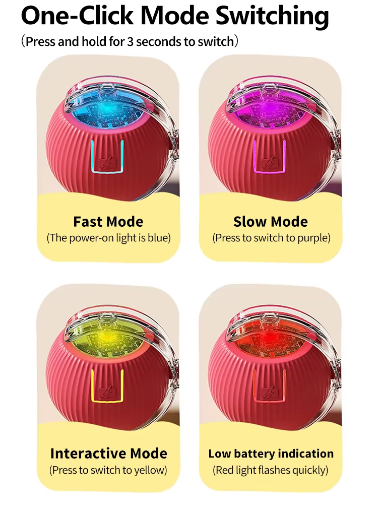 Interactive Cat Toy