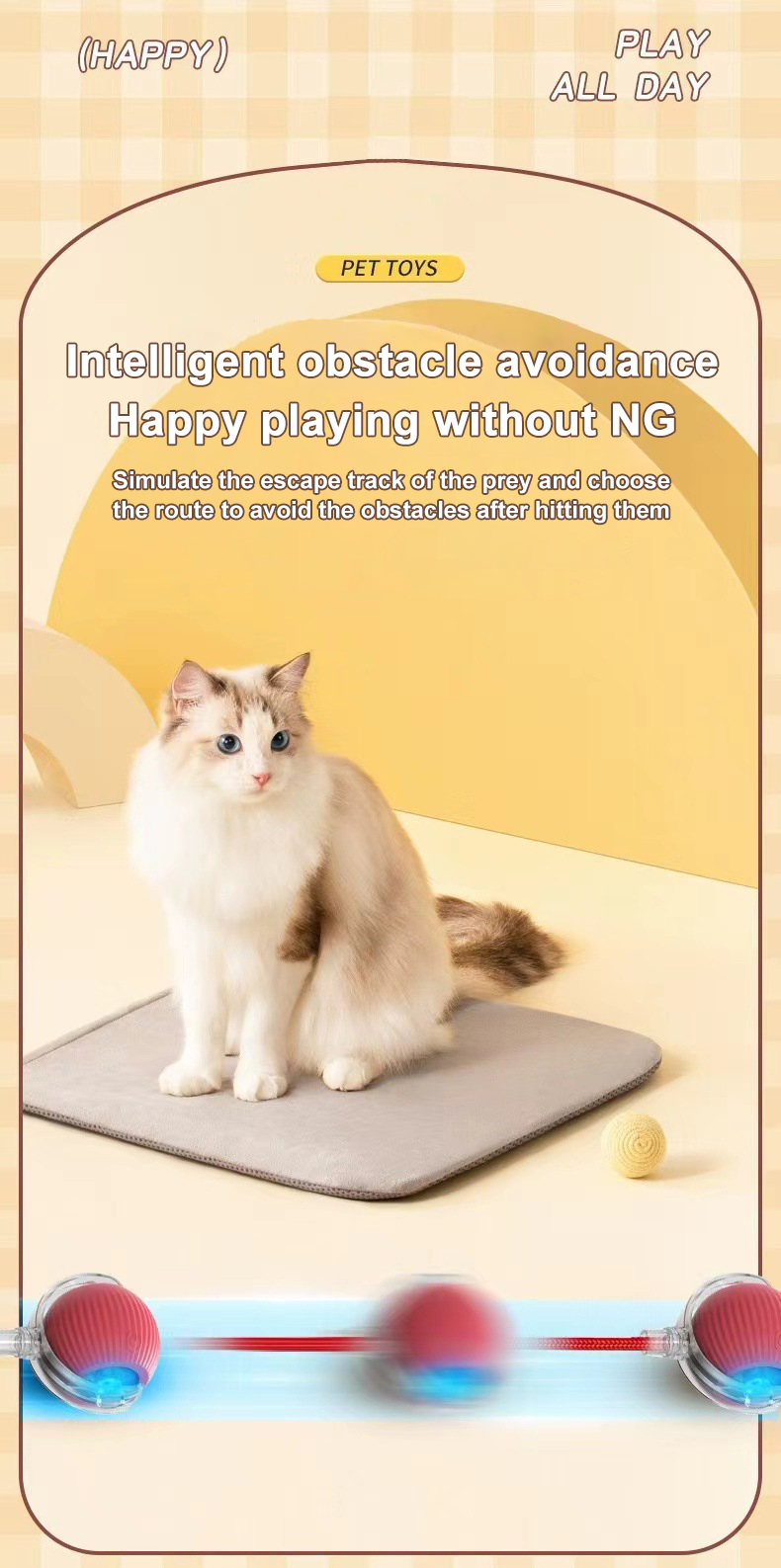 Product Description Image 6