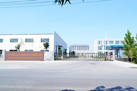 Company Office