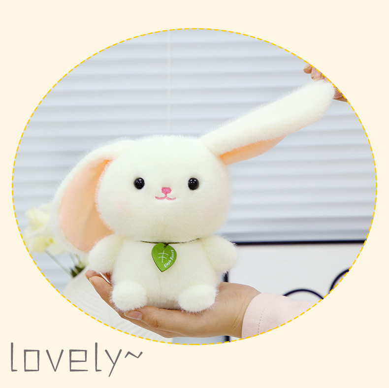 Product Display 10