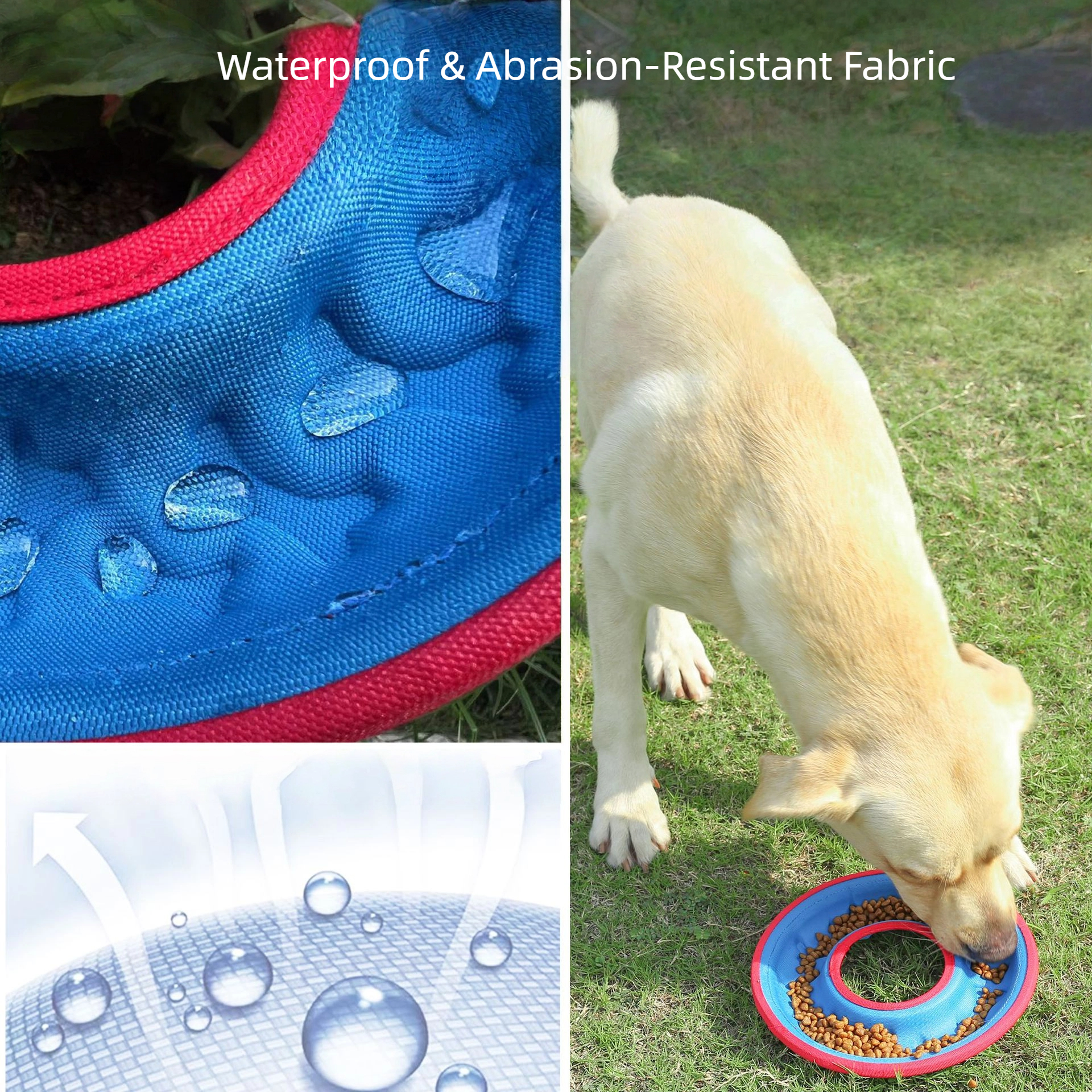 Eco-Friendly Floating Dog Toy Interactive Training Chew-Resistant EVA Waterproof Fetch Disc &amp; Food Bowl Sport Style