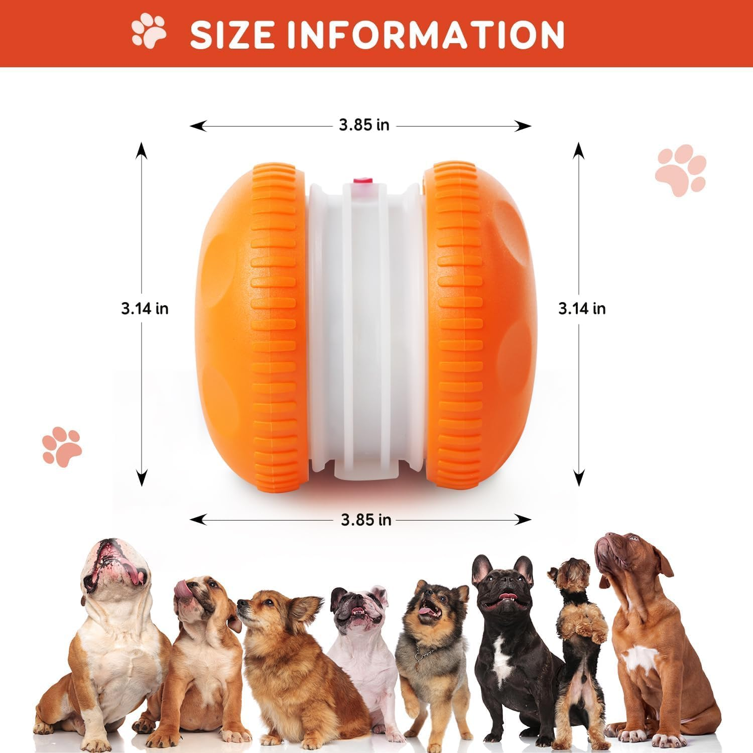 Pet Smart Ball Detail 7