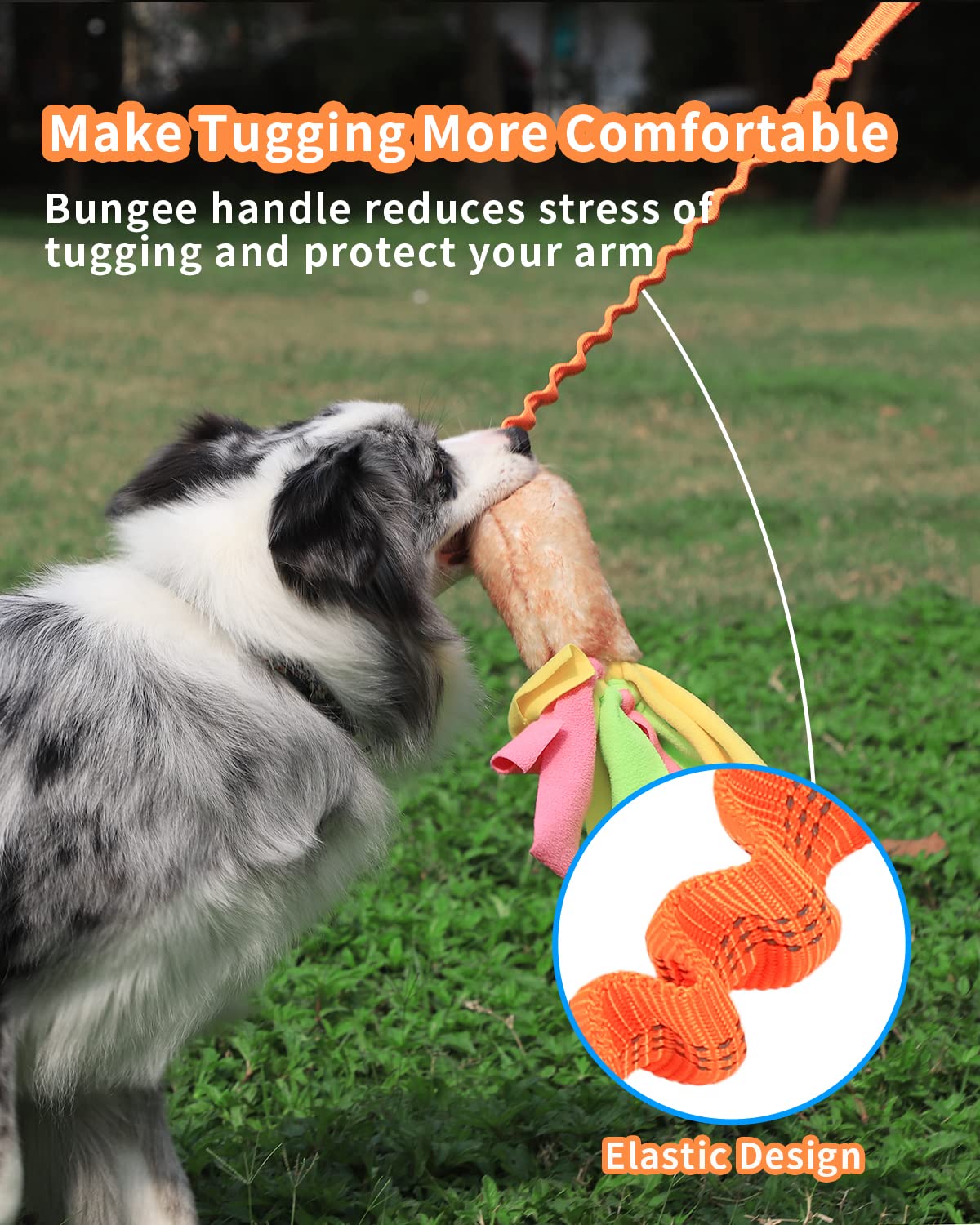 Bungee Tug of War Dog Tug Toy 3