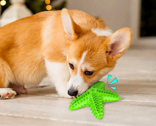 Dog Toy Showcase 3
