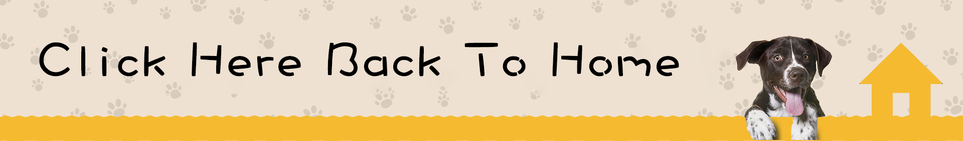 Contact and Support Banner