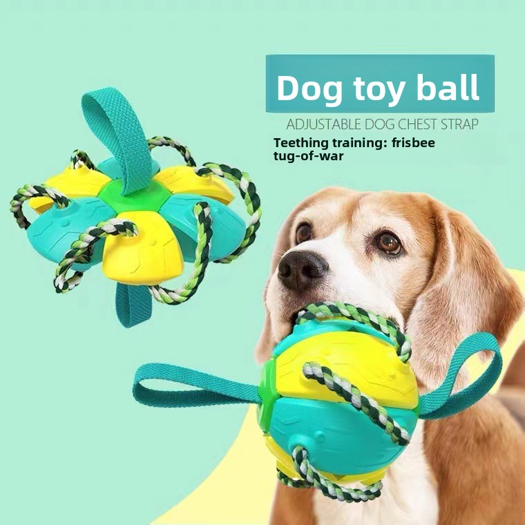 New Interactive Cat Dog Chase Toy Ball Electric Smart Automatic Active Rolling Ball for Small Dogs Pet Movement Toy