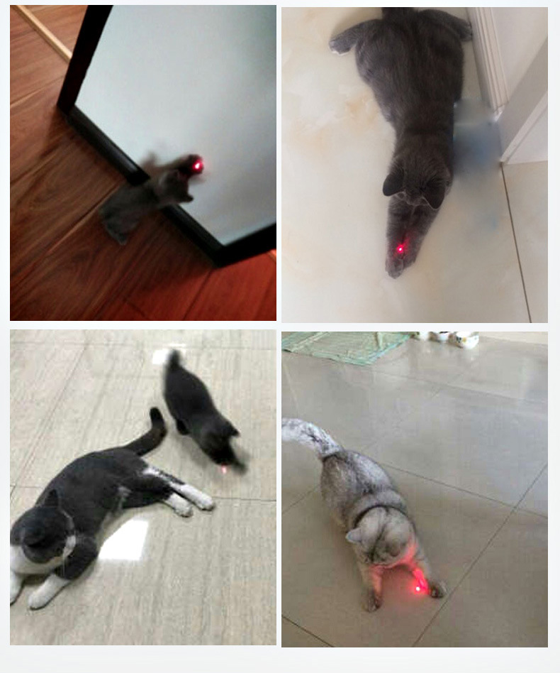 Cat Toy Multi-pack and Storage