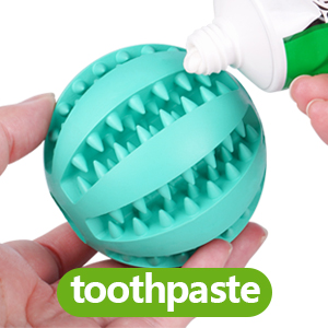 Stuffed with Pet Toothpaste