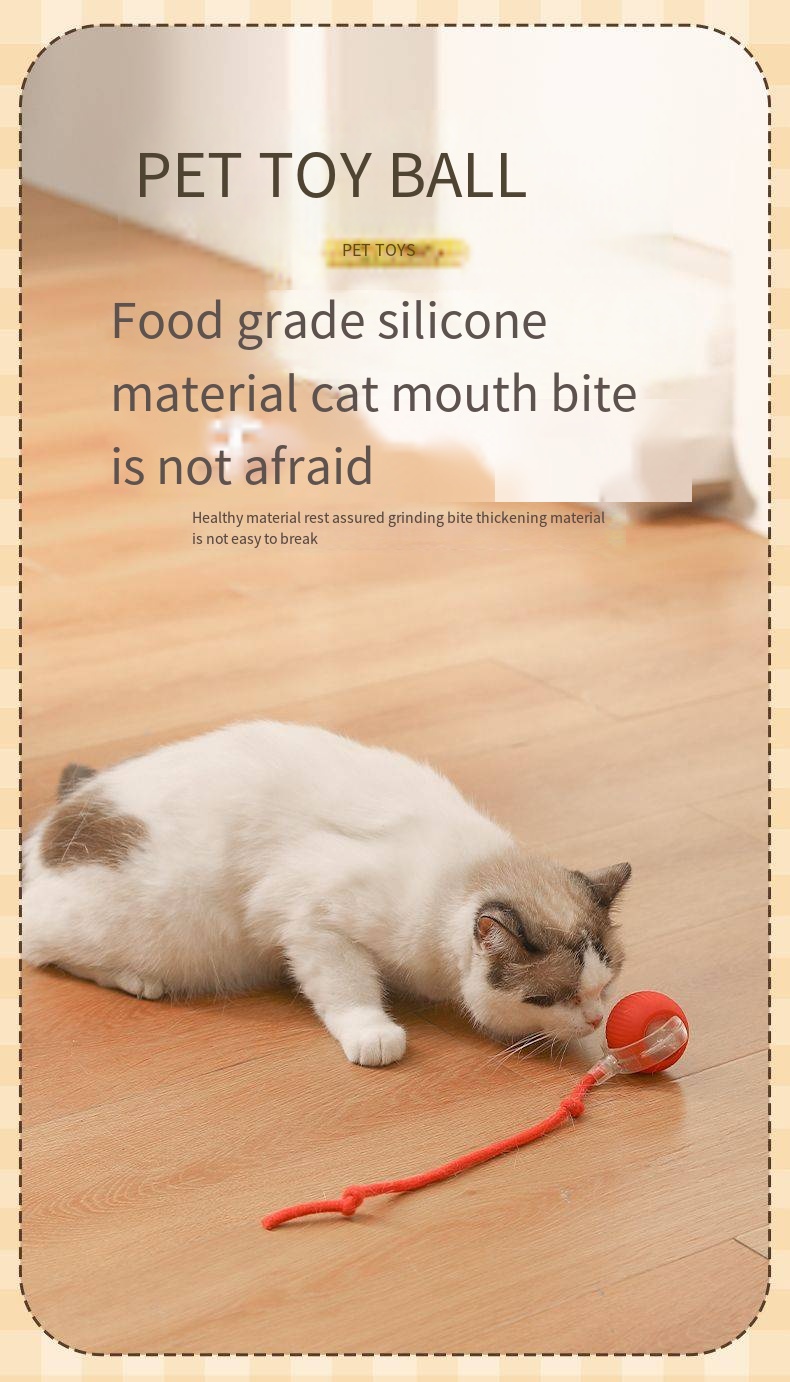 Pet Product Showcase