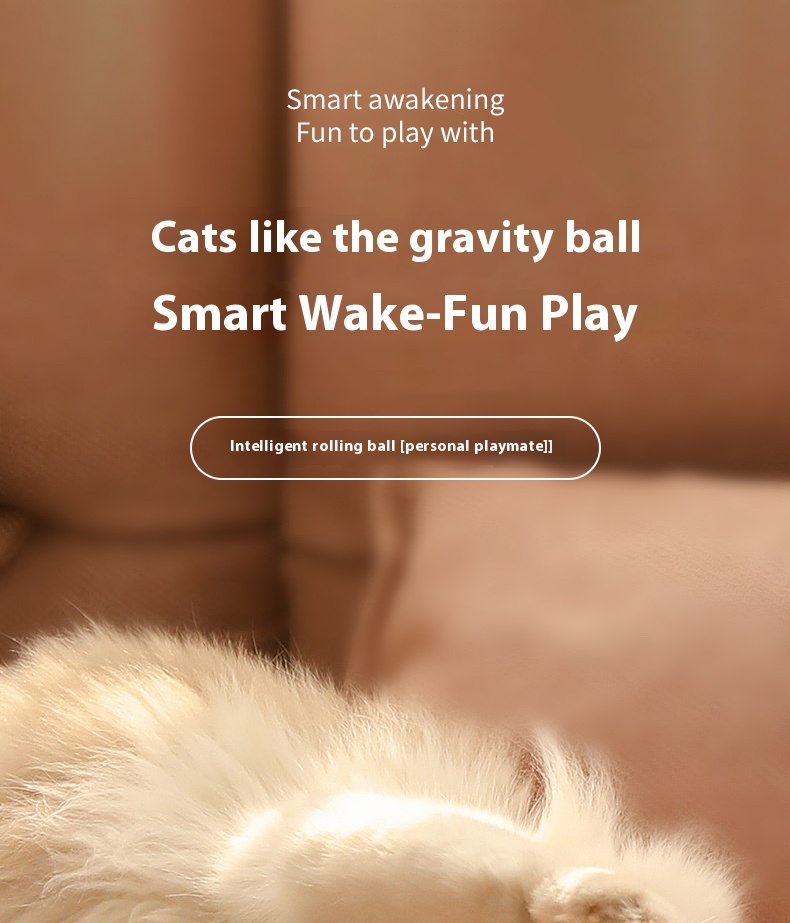 Electric Pet Rolling Ball Detail 1