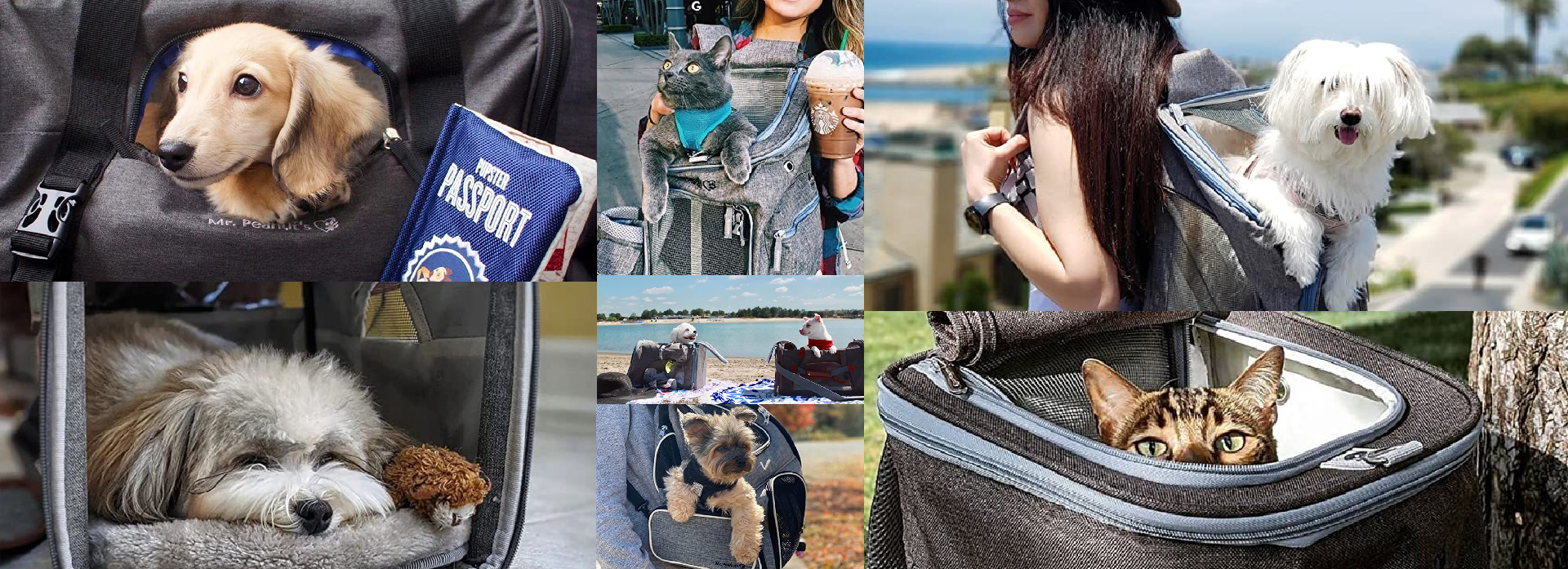 Pet Safety Details