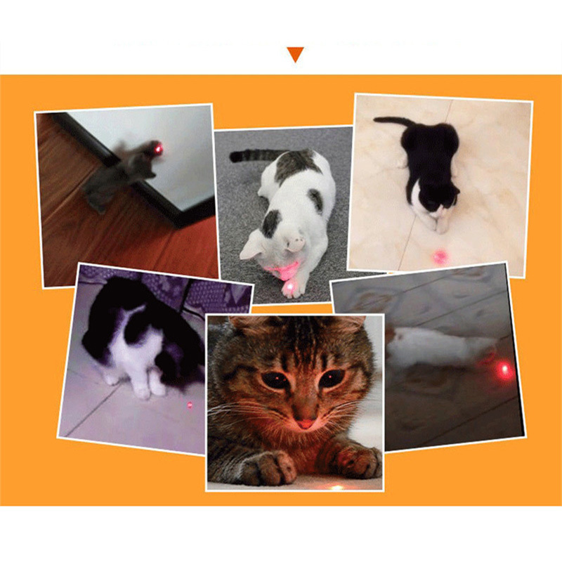 Interactive Accessories and Pet Supplies