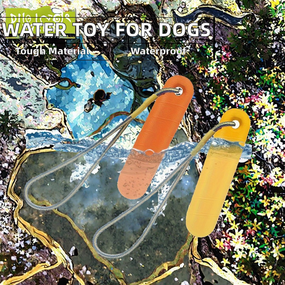 Dog Toy Display 4