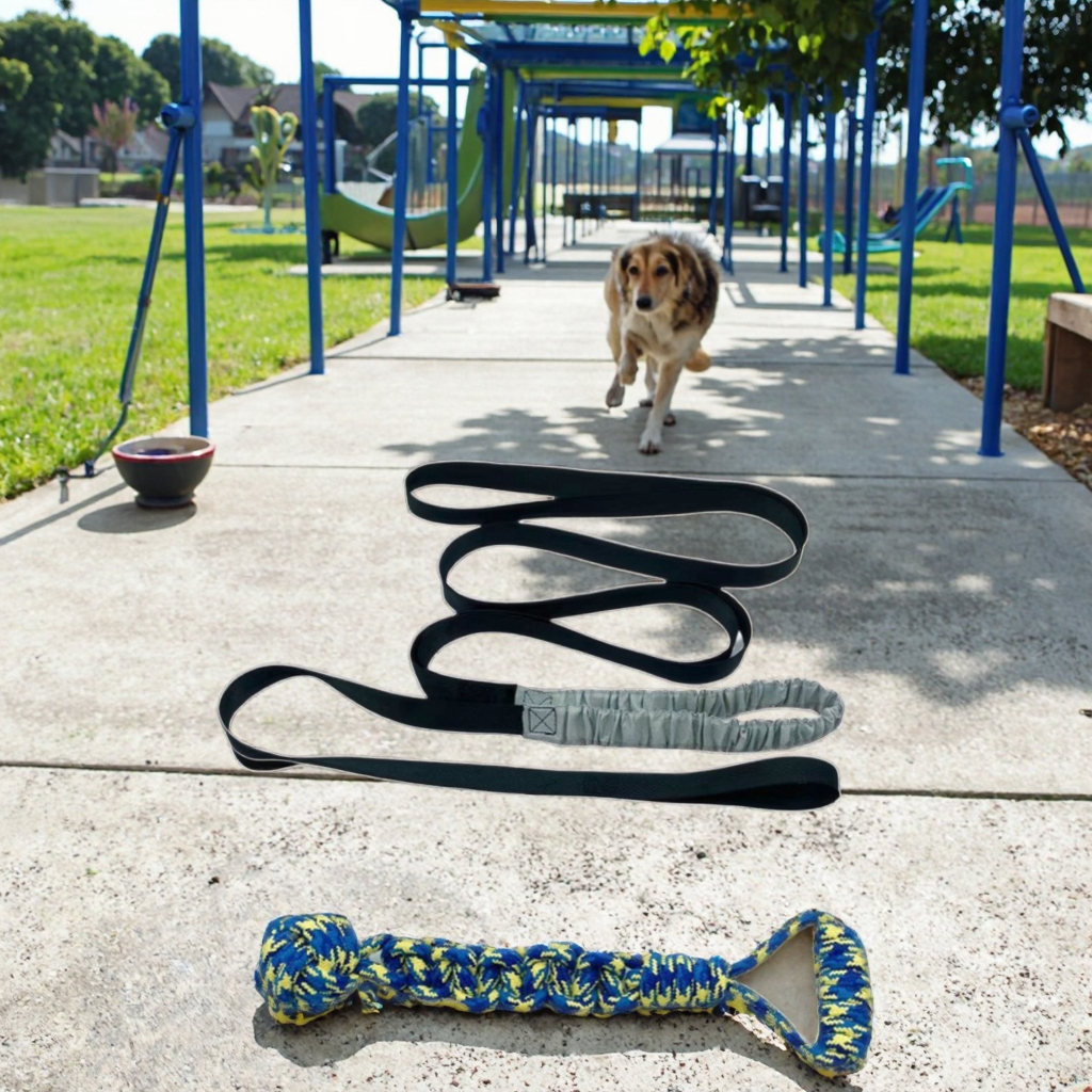 Pet Dog Chew Toy Image 5