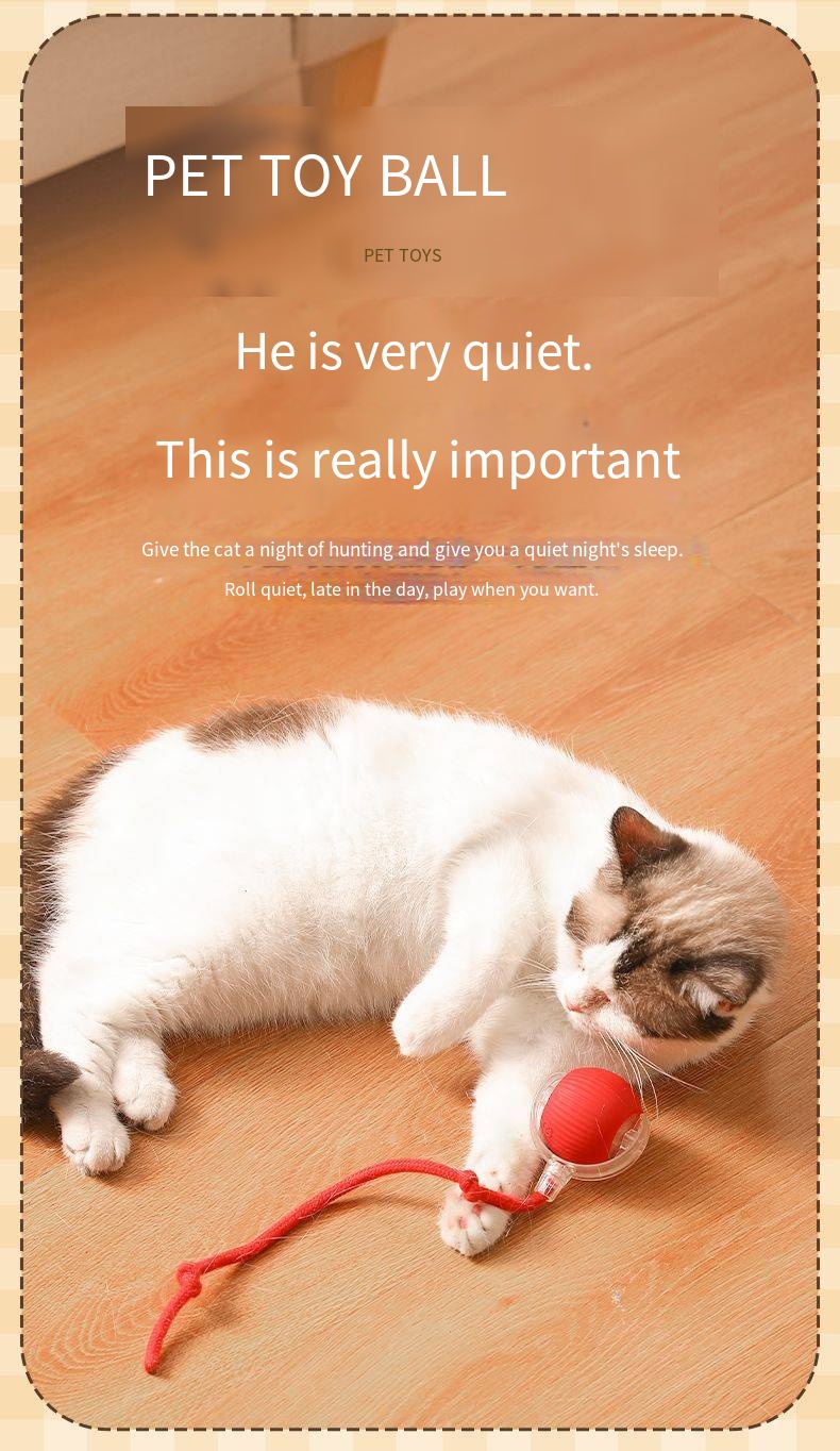 Kangdarpet Electric Smart Auto-Rolling Cat Ball Toy | Rechargeable Interactive Toy with Bird Sound &amp; String