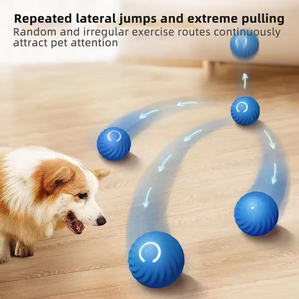 Smart Dog Toy Details 3