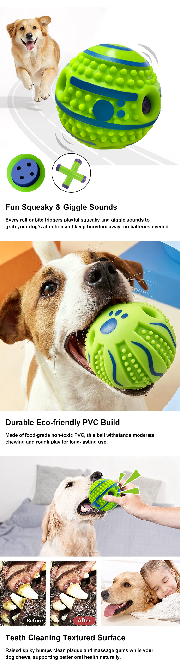 Pet Toy Showcase 2