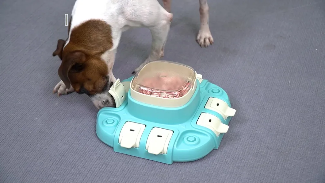 Interactive Waterproof Pet Product Toys Fun Puzzle Design in Three Colors