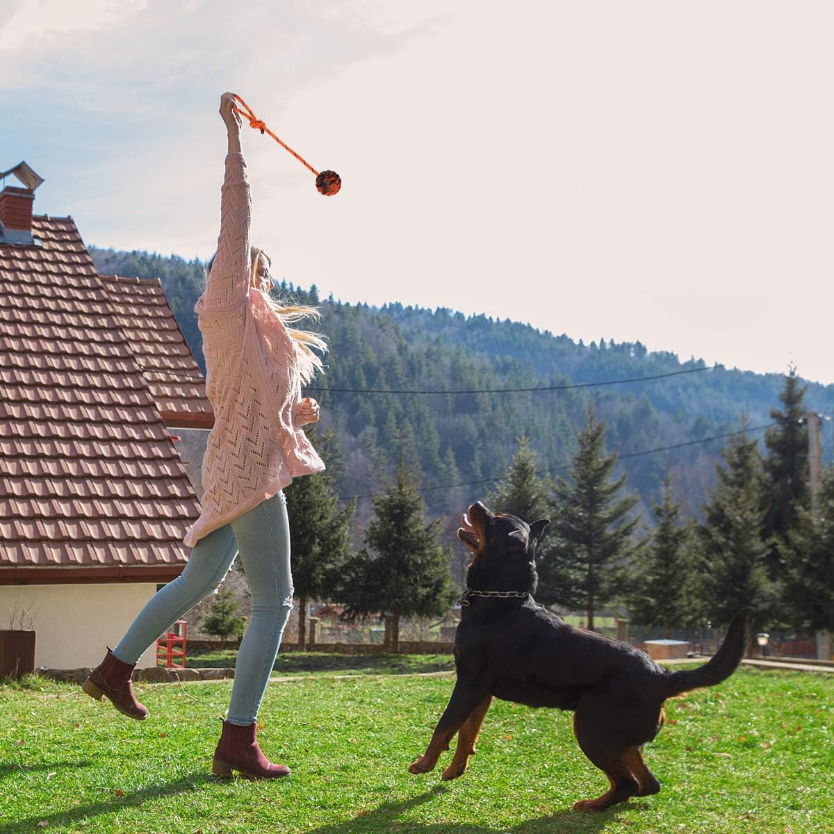 Dog training ball image 1