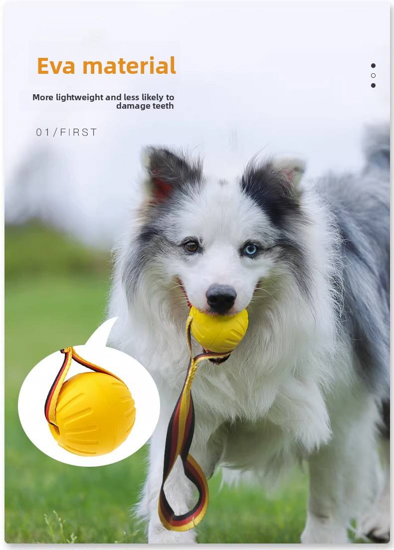 The indestructible rubber that modern dogs squeak with chew toys for chewing instinct training