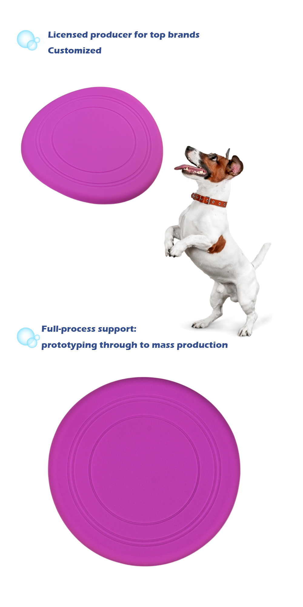 Pet Product Detail 6