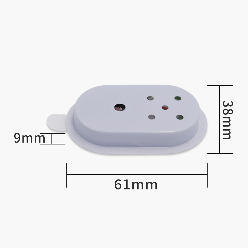 Custom Sound Module Detail 1