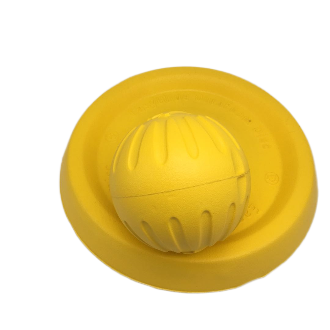Floating EVA Foam Durable Water Resistant Dog Outdoor Flying Disc Toys Ring Ball Toys Dog Training Ball