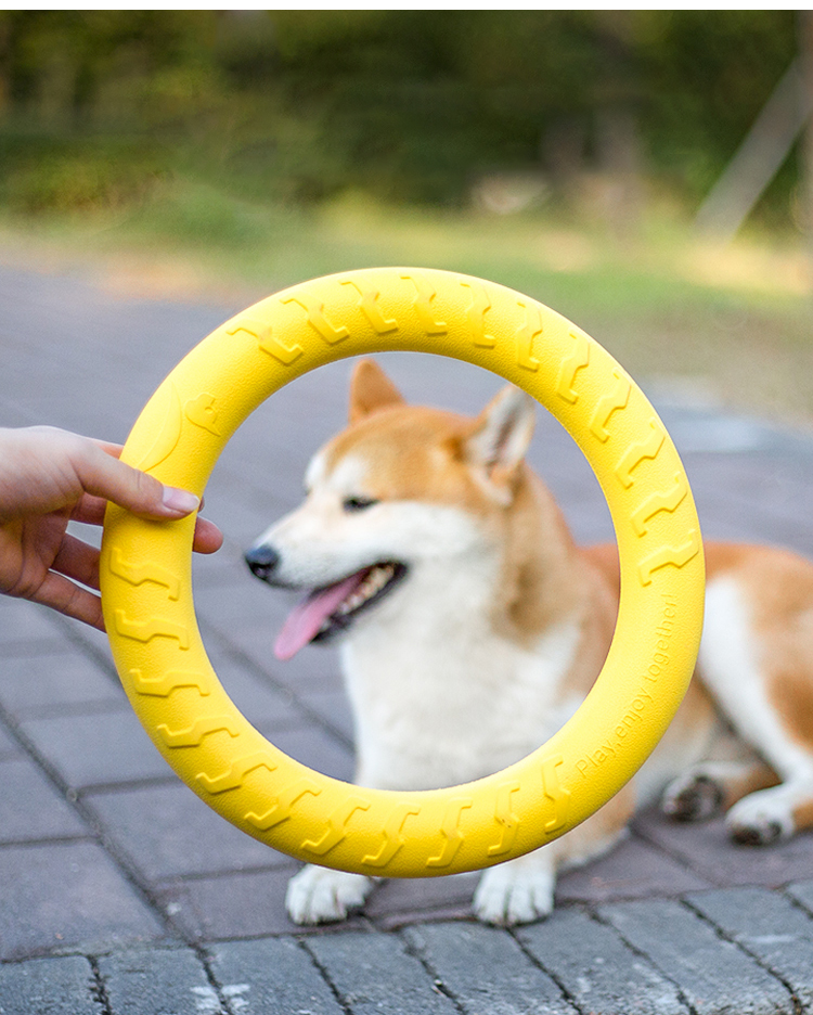 Pet Chew Dog Toy Texture