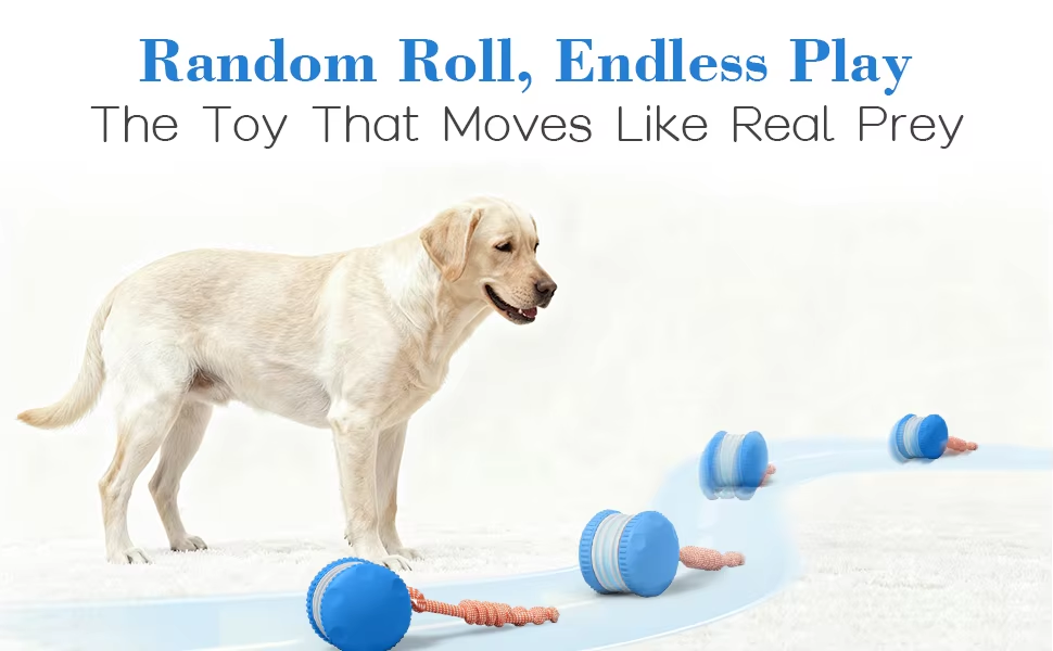 Pet Smart Ball Detail 1