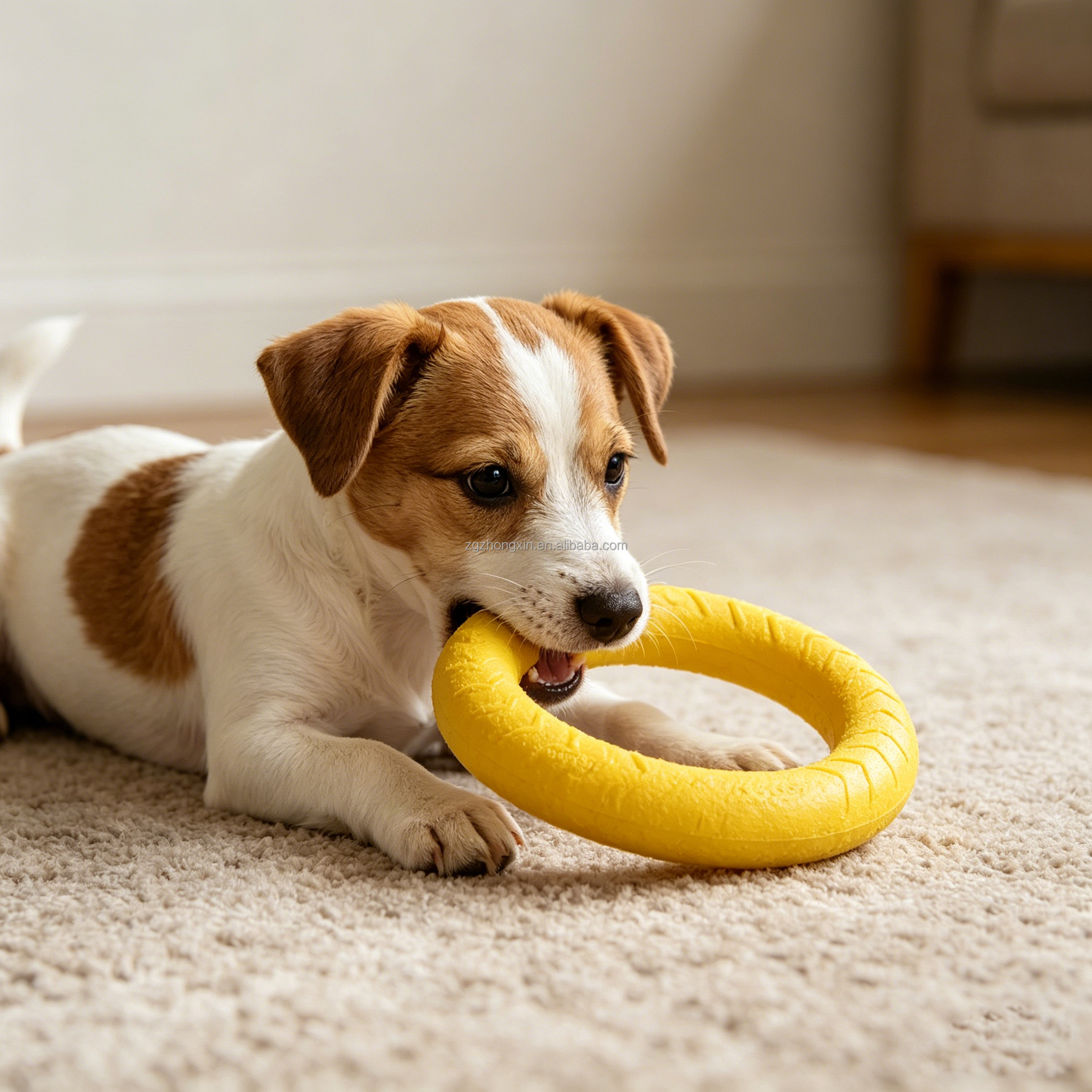 Interactive Dog Training Toy EVA Foam Pull Ring Ball with Rope Floating Waterproof Flying Disc Teething Chew Toy for Small Dogs