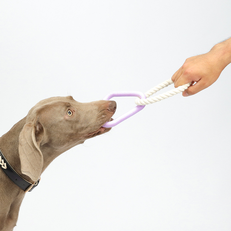 TPR Rubber Cotton Rope Braided Eco-Friendly Pet Tug-Of-War Rope Dog Toy for Molar Bite-Resistant Interactive Boring