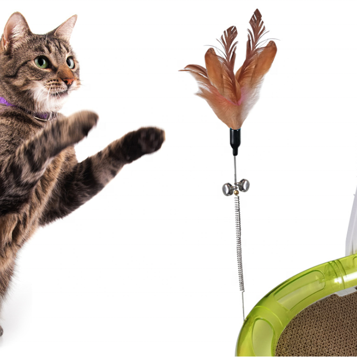 Imilive Plastic Eco-Friendly Tunnel Multifunctional Interactive Playing Track Ring Ball Scraper Claw Pet Cat Toy