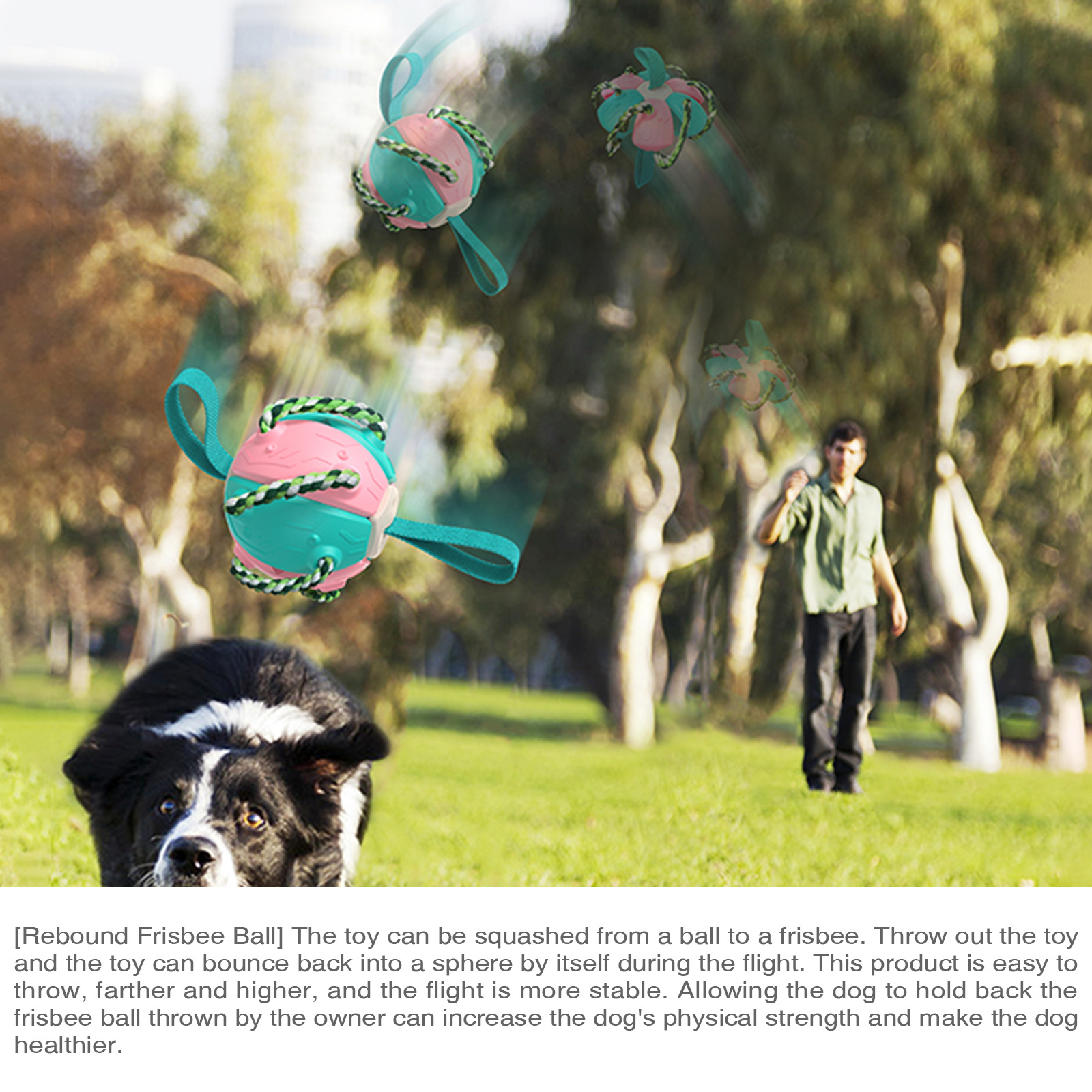 2024 New Hot Selling Pet Dog Ball Toy Multifunctional Chew Interactive Dog Toy