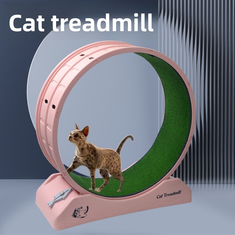 PP Material Cat Exercise Wheel Multifunctional Silent Cat Treadmill with Scratching Pad &amp; Interactive Toy, Custom Available