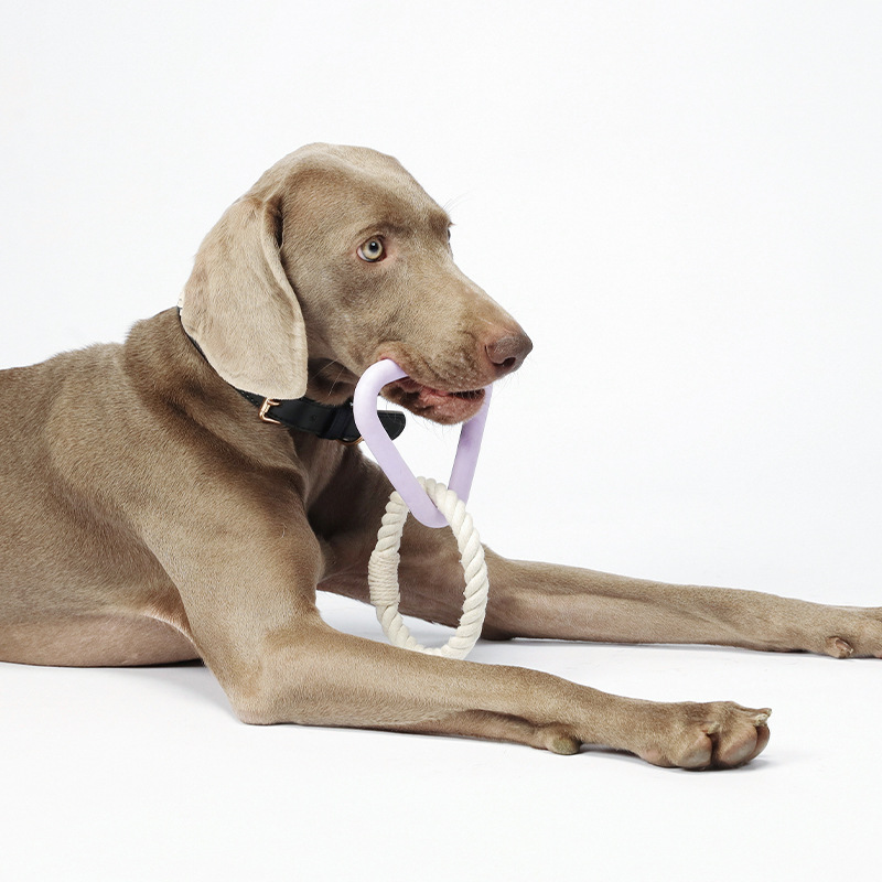 TPR Rubber Cotton Rope Braided Eco-Friendly Pet Tug-Of-War Rope Dog Toy for Molar Bite-Resistant Interactive Boring