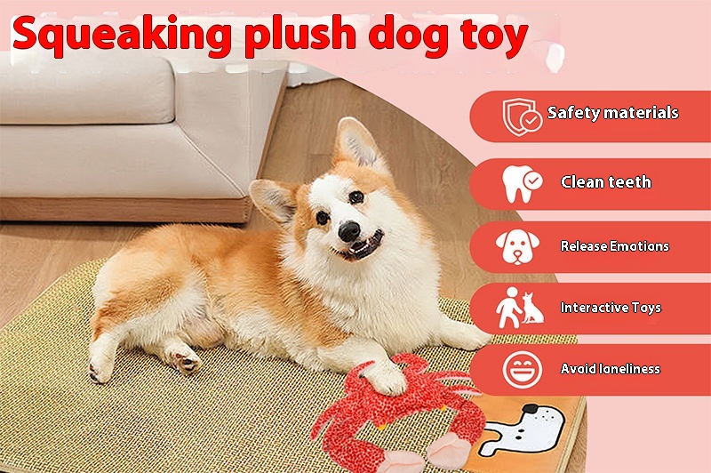 Pet Toy Feature 1