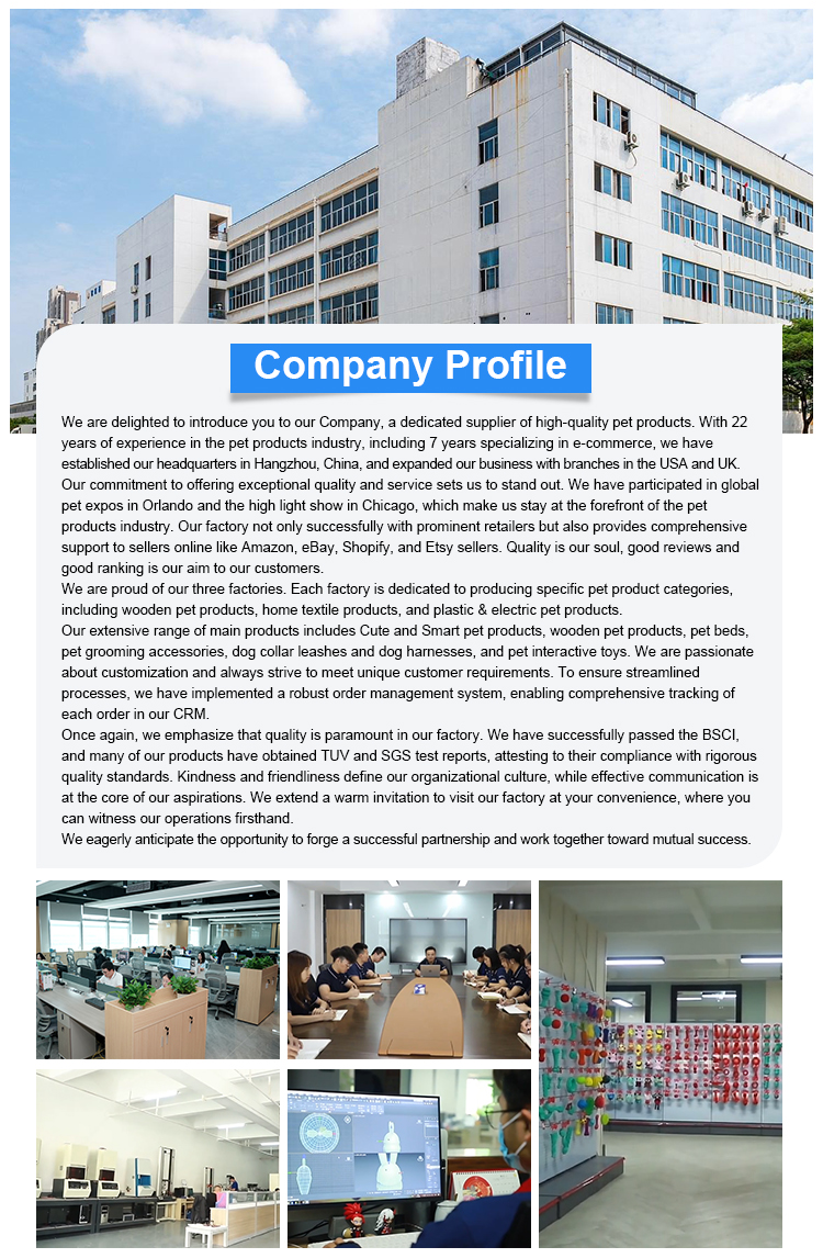 Company Overview 1