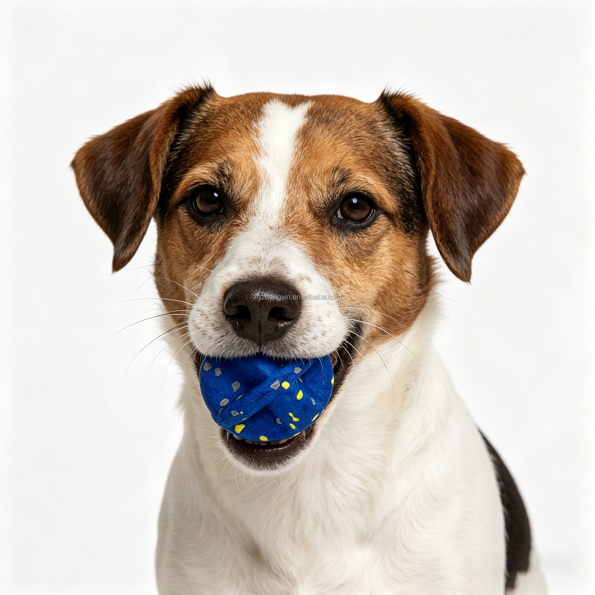 Eco-Friendly Lightweight Geometric Pattern Chewing Toy Modern Style Cat Dental Cleaning Ball Bite-Resistant Easy Clean