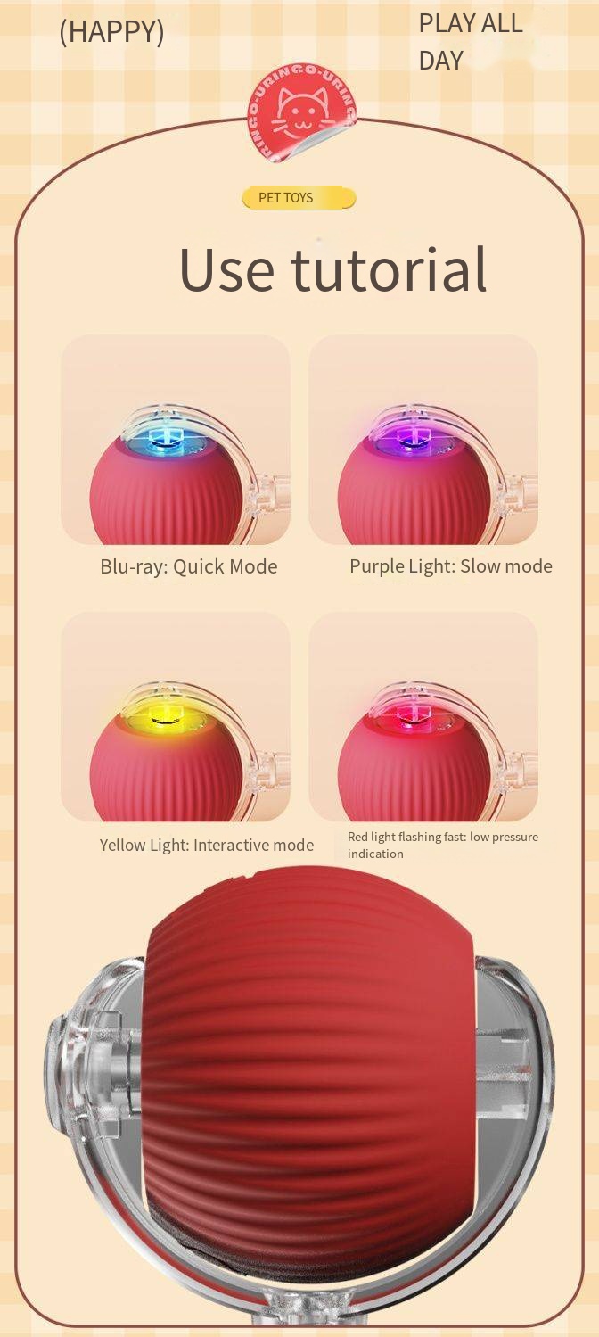 Pet Product Features